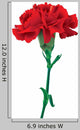 red carnations isolated Wall Decal