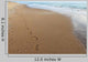 Footsteps on a Beach in North Carolina Wall Mural