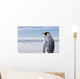 King Penguin Wall Mural