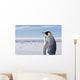 King Penguin Wall Mural