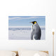 King Penguin Wall Mural