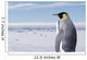 King Penguin Wall Mural