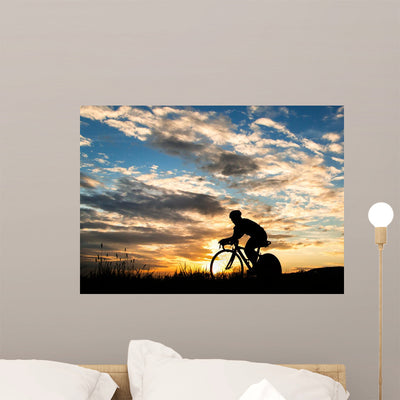 Time Trial Bike shown on a wall
