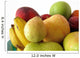 Basket of Fruit II Wall Decal