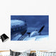 Airplane Wall Mural