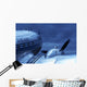 Airplane Wall Mural
