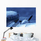 Airplane Wall Mural