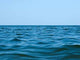 Skyline Sea Wall Decal