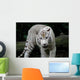 White Tiger Wall Decal