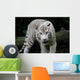 White Tiger Wall Decal