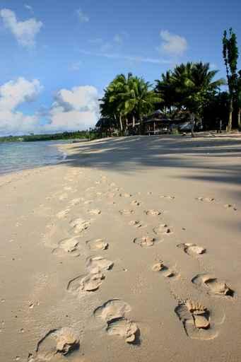 Beach Western Samoa Wall Decal