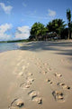 Beach Western Samoa Wall Decal