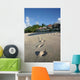 Strand Auf Der Nordinsel Wall Decal