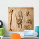 Old drawings of anatomy (body parts) Wall Mural