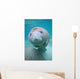 Kids Manatee