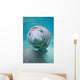 Kids Manatee