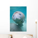 Kids Manatee