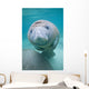 Kids Manatee