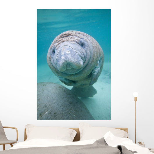 Kids Manatee
