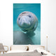 Kids Manatee