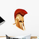 Trojan Helmet