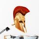 Trojan Helmet