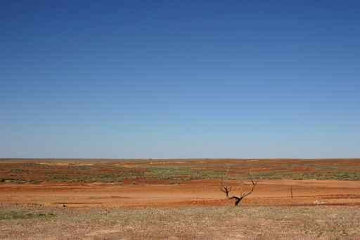 Im Outback Australiens Wall Decal