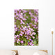 Macro D'aubriettes Wall Mural