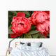 Red Peony Flowers