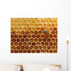Honey in the Hive Wall Mural