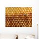 Honey in the Hive Wall Mural