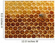Honey in the Hive Wall Mural