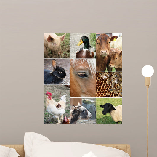 Collage Farm Animals