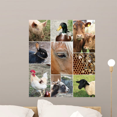 Collage Farm Animals shown on a wall