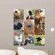 Collage Farm Animals