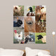 Collage Farm Animals