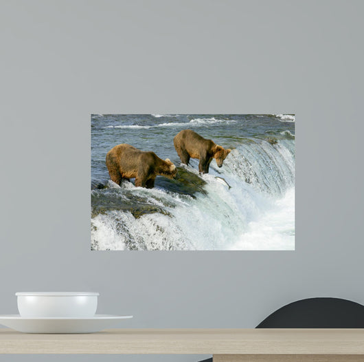 Grizzly Bears Wall Mural