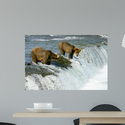 Grizzly Bears Wall Mural