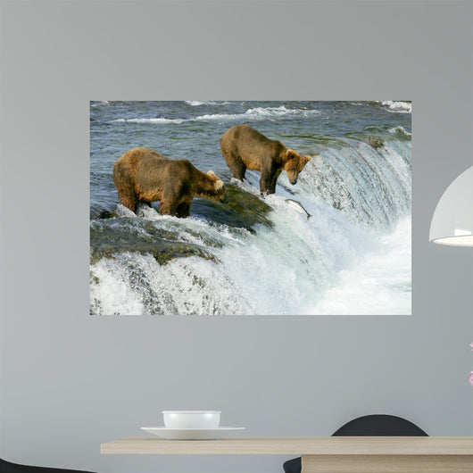 Grizzly Bears Wall Mural