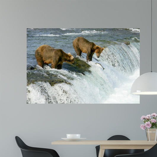 Grizzly Bears Wall Mural