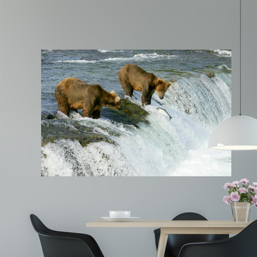 Grizzly Bears Wall Mural