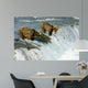 Grizzly Bears Wall Mural