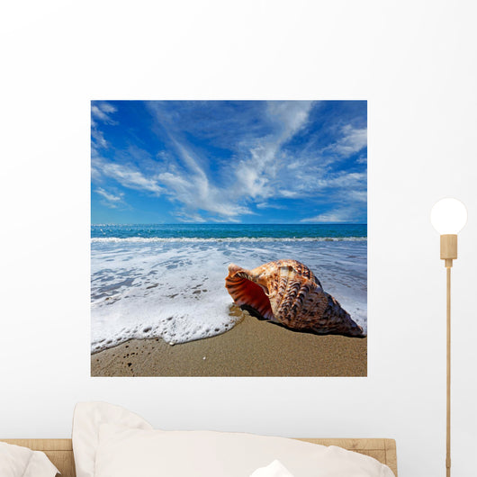 Beach with Shell