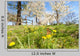 Butterfly Spring