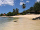 Beach Moorea Island Wall Decal