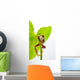 Red-eyed tree frog Wall Decal