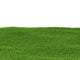 Green Grass 3D Render Wall Mural