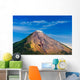 Colorful Conception Volcano