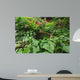 Tropical Garden Wall Mural