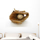 Baseball and Glove Wall Decal